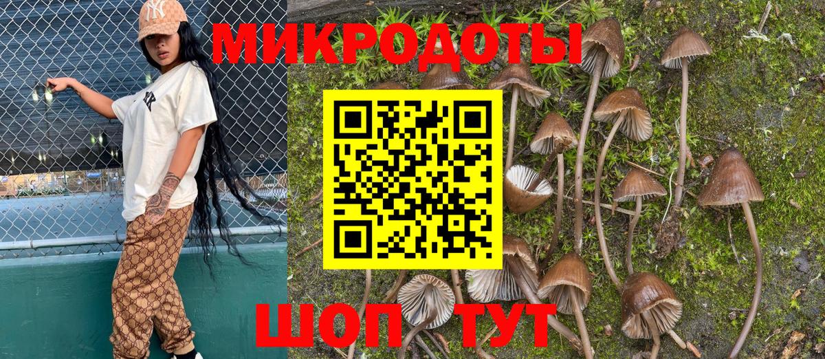 Псилоцибиновые грибы мухоморы Старая Купавна