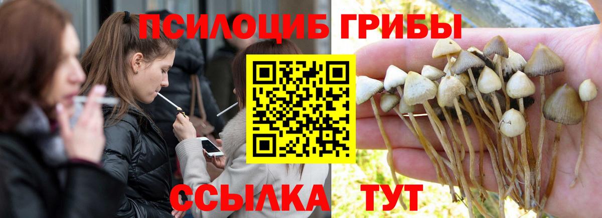Старая Купавна  Галлюциногенные грибы GOLDEN TEACHER  Вход с VPN 